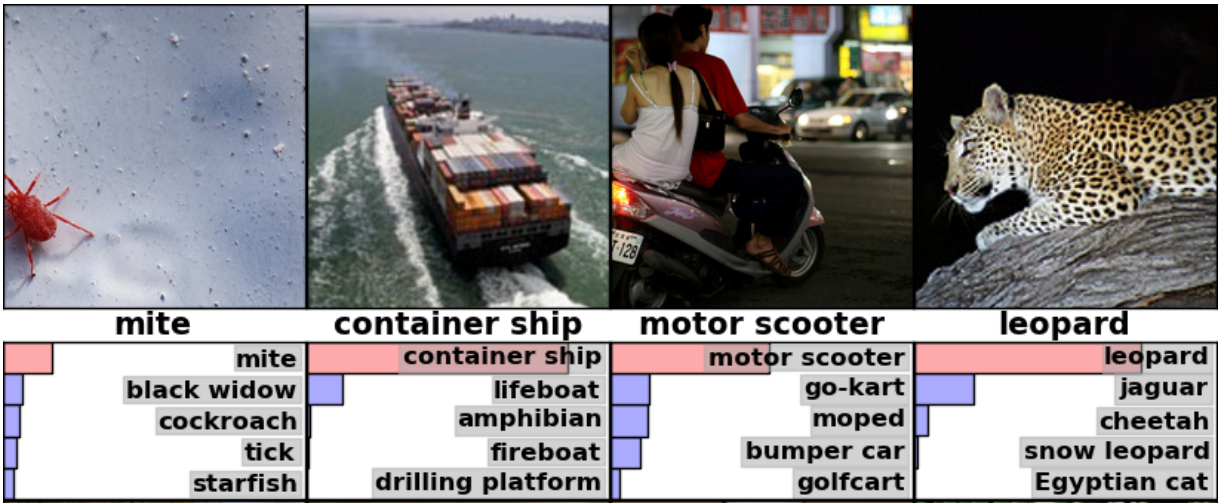 Image Recognition - Tensor Flow AlexClassification