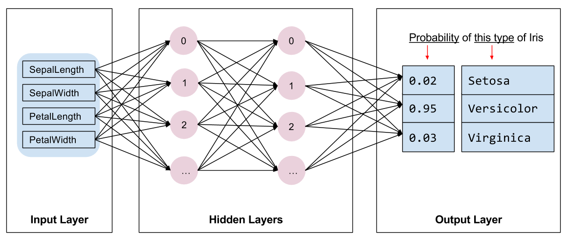 Network Architecture of a Feed Forward Neural Network