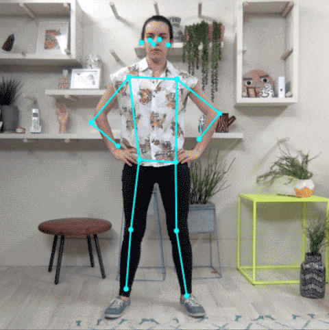 Animation showing pose estimation