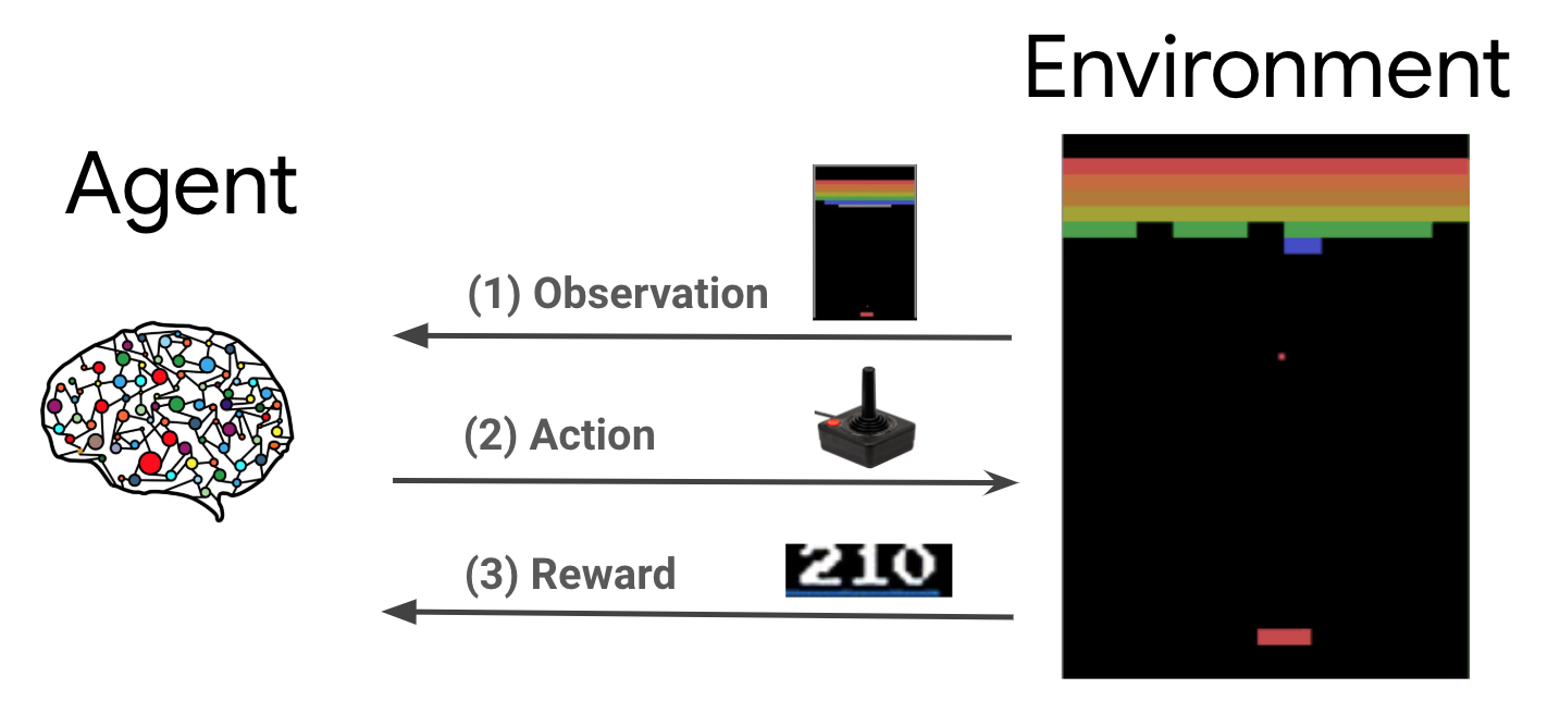 Snake Played by a Deep Reinforcement Learning Agent